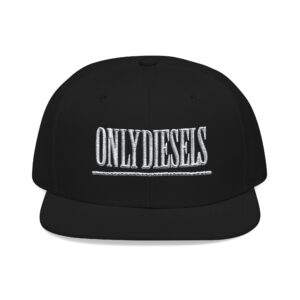 Embroidered Snapback Cap — Retro Distressed Wordmark